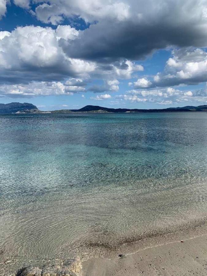Vila Rosa Dei Venti - Casa Maestrale - Sardegna - Iun R2217 Olbia Exteriér fotografie
