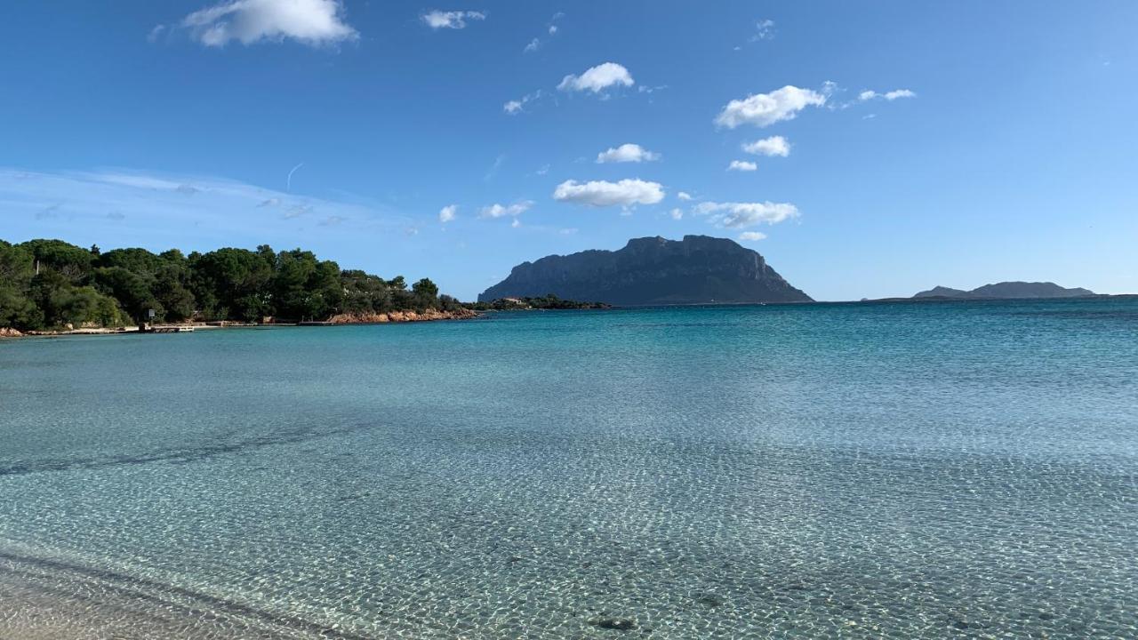 Vila Rosa Dei Venti - Casa Maestrale - Sardegna - Iun R2217 Olbia Exteriér fotografie